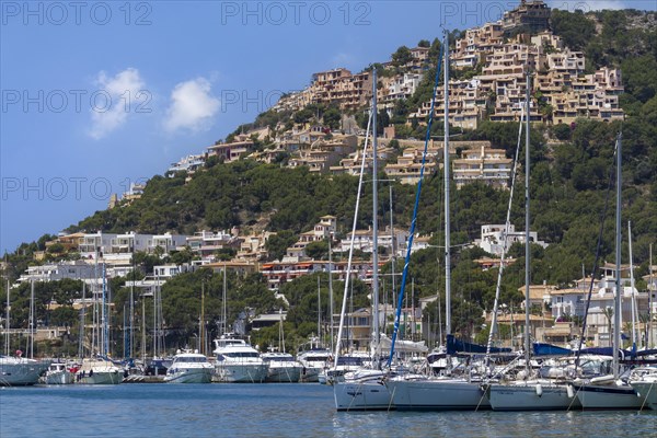 Yachts in the marina