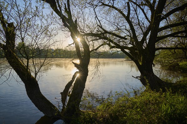 River landscape