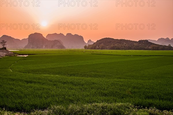 Beautiful sunrise over the rice paddy in Ninh Binh