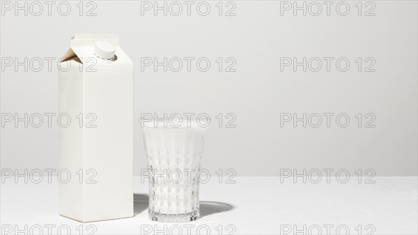 Front view milk carton with full glass copy space