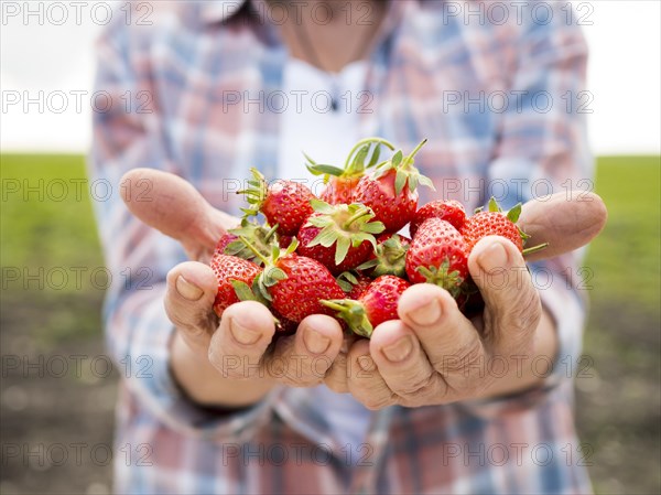 Woman holding bunch strawberries