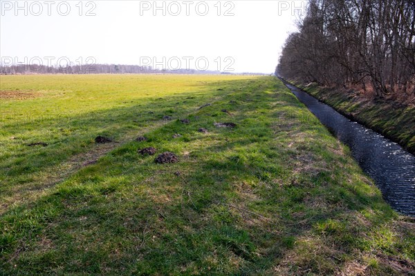 Peat cutting