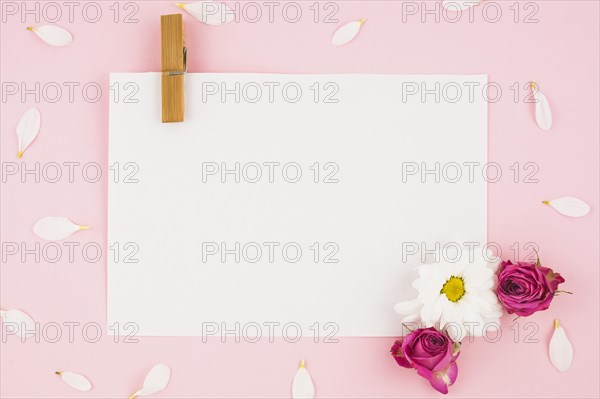 Blank white paper with clothespin flowers pink background
