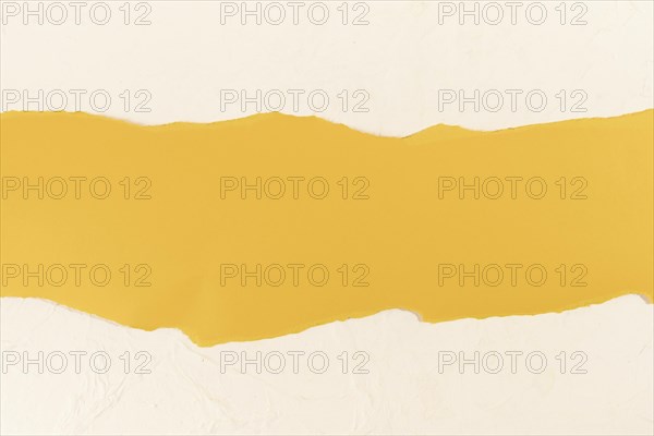 Yellow strip pale rose background