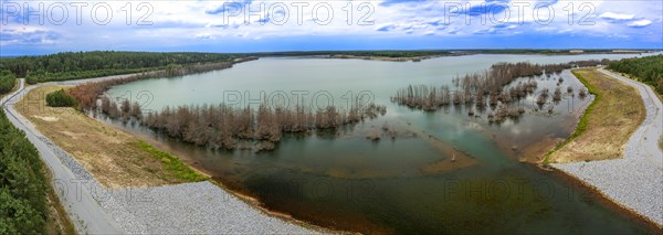 Trees in Lake Sedlitz