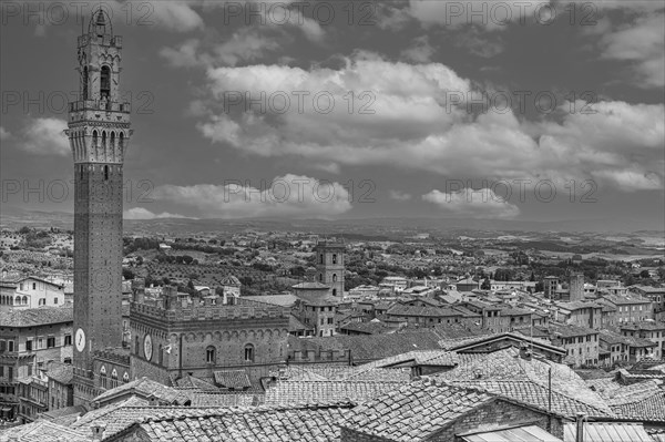 Above the roofs of Siena with view of the bell tower Torre del Mangia