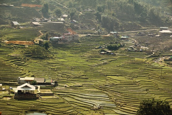 Aerial view terraced rice paddy and mountains in the village of Lao Cai in Sa pa Vietnam