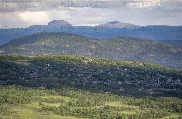 Norwegian houses between birch forest