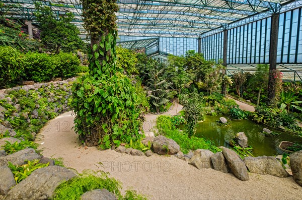 Interior view of the cold house Estufa Fria is a greenhouse with gardens