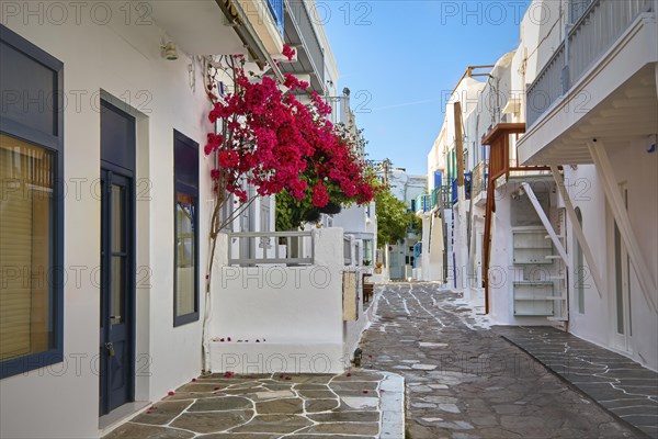 Charming traditional narrow streets and beautiful alleyways of Greek island towns. Whitewashed houses