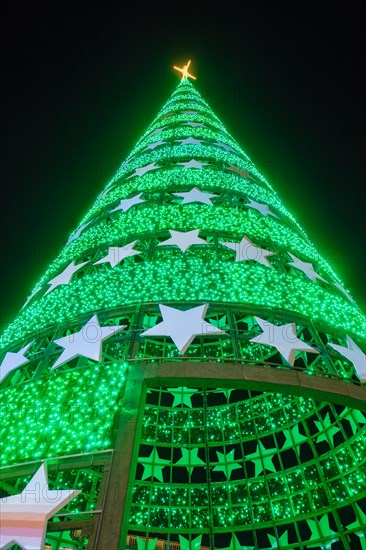 Main Christmas tree of Lisbon