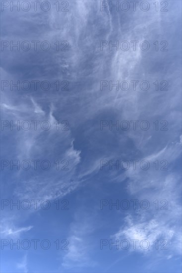 Cirrus clouds