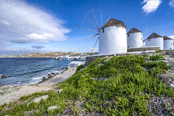 Cycladic windmills on the coast