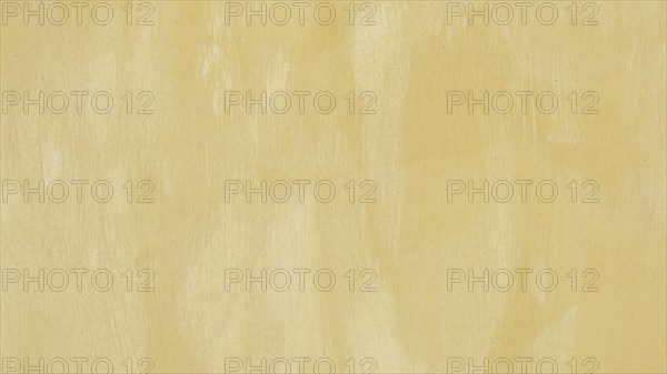 Empty monochromatic beige painted background