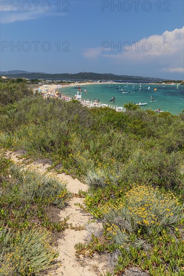 Porto Pollo Beach