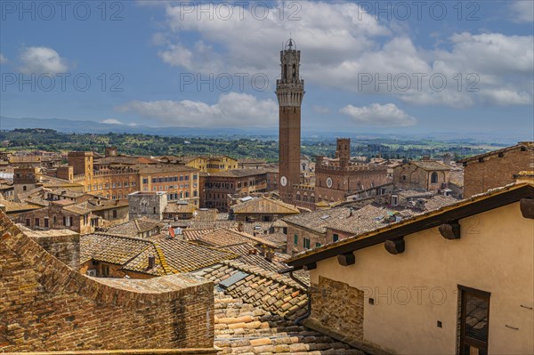 Above the rooftops of Siena with a view of the Torre del Mangia bell tower