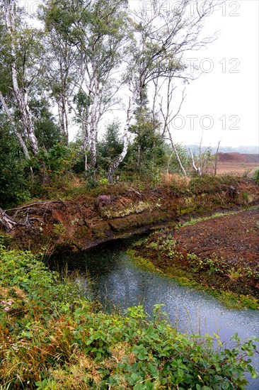 Peat cutting