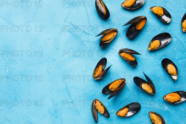 Flat lay boiled mussels with copy