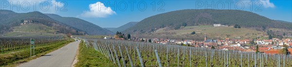 Vineyards and view of the wine village of St Martin