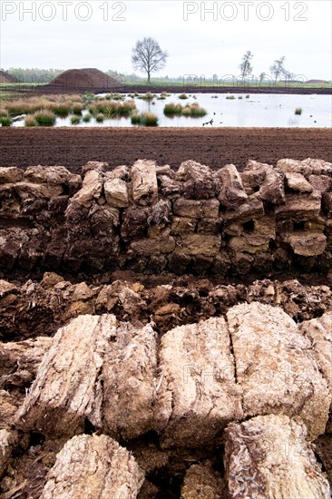 Peat cutting