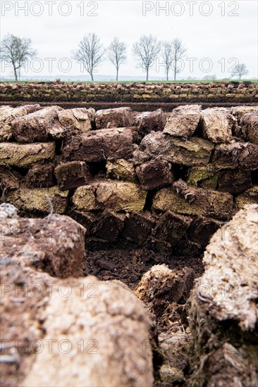 Peat cutting