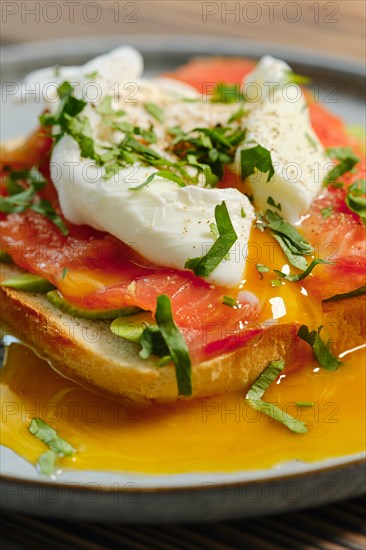 Closeup view of sandwich with smoked salmon