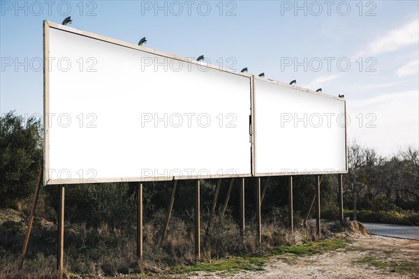 Empty white billboards suburban roadside