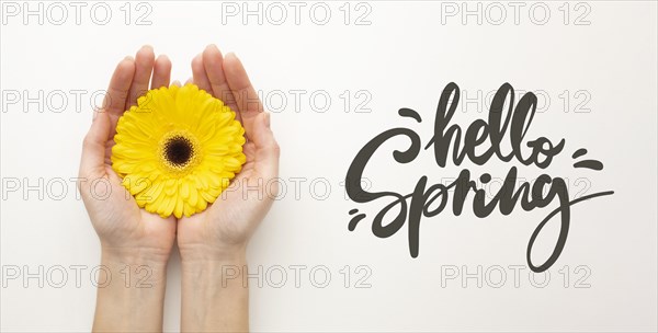Hello spring hand with flower