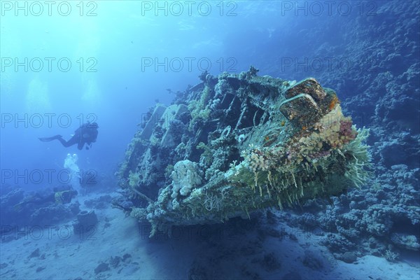 Wreck of sailboat overgrown with corals