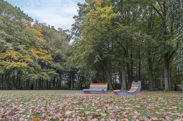 Colourful bench and colourful lounger