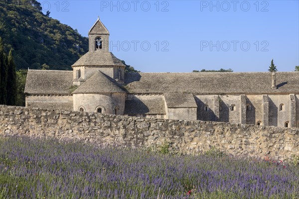 Abbey Notre-Dame de Senanque