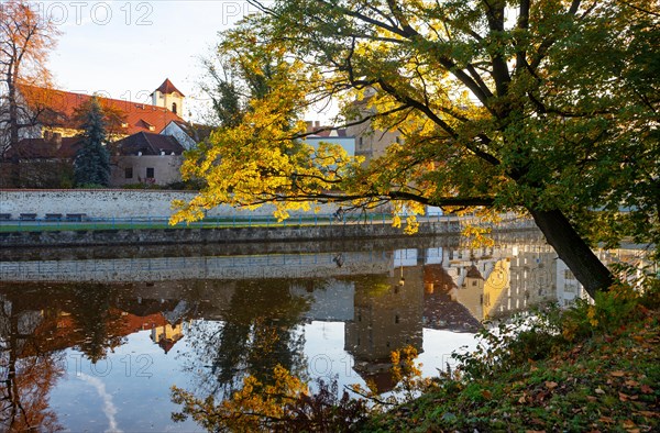 Autumnal coloured trees in the park Hajecek with the river Maltsch and the city wall of the historical old town of Ceske Budejovice