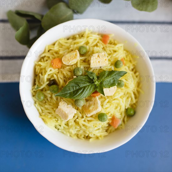 Close up indian traditional food with rice chicken