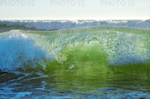 Breaking ocean wave on sunset backlit with sun. Fonte da Telha