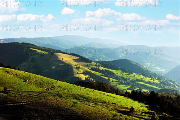 View of Muenstertal