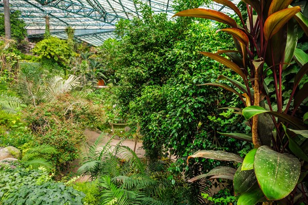 Interior view of the cold house Estufa Fria is a greenhouse with gardens