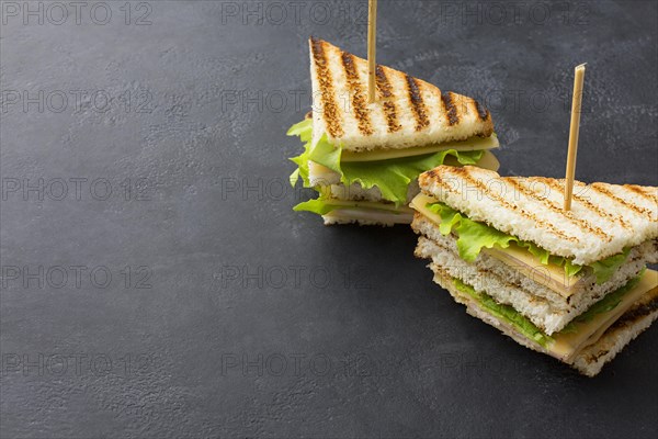 Club sandwiches with copy space