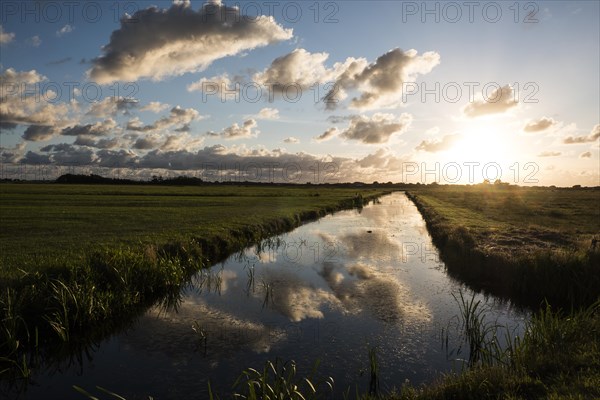 Polders