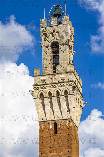 The bell tower Torre del Mangia