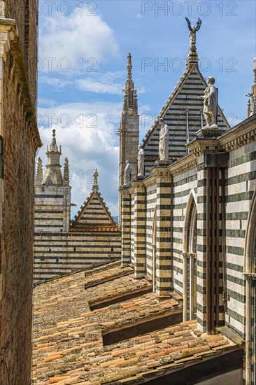 On the roof of the cathedral with its black and white striped marble facade