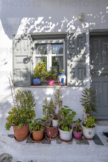 House facade with window and flower pots