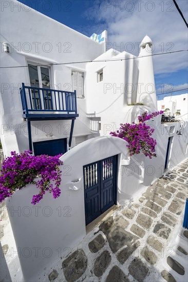 Cycladic white houses with pink bougainvillea