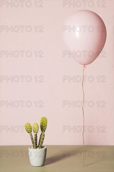 Pink balloon cactus