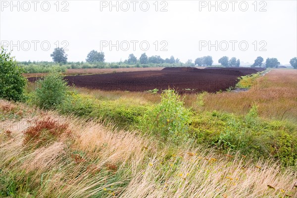 Peat cutting