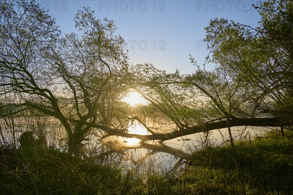 River landscape