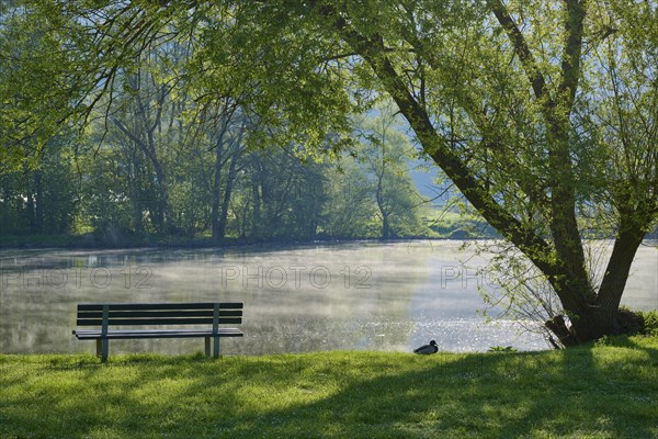 River landscape