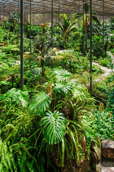 Interior view of the cold house Estufa Fria is a greenhouse with gardens