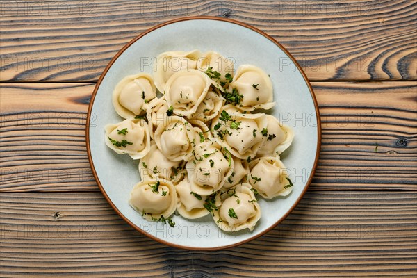 Top view of plate with dumplings stuffed with meat