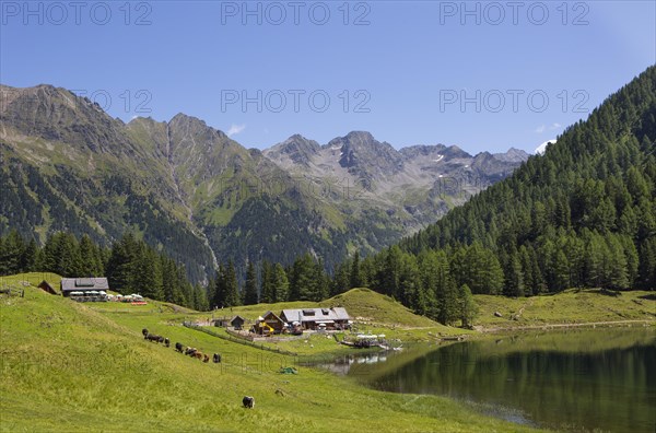 Duisitzkarsee Hut and Fahrlech Hut at Duisitzkarsee