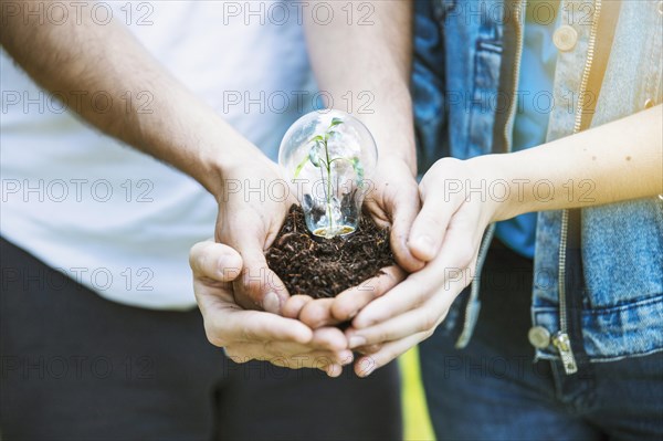Hands keeping plant lamp ground